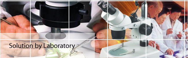 solution by laboratory